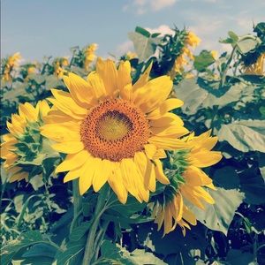 Meet your Posher, Mia